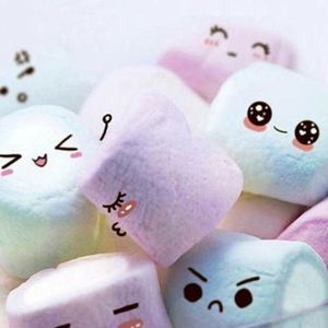 Meet your Posher, Katy